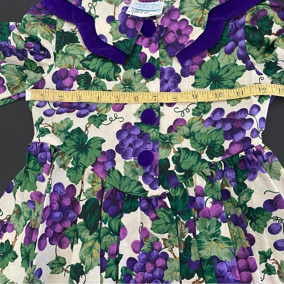 Caitlyn Scott Grapevine Grapes Print Girl's Dress Velvet Vintage Autumn - Picture 5 of 6